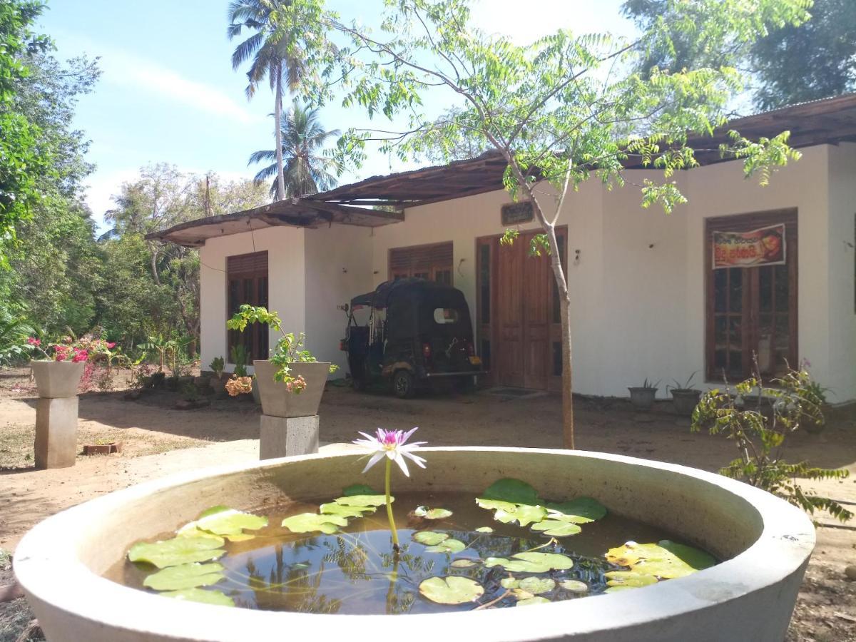 Silent Peacock Villa And Peacock Cafe Tangalle Eksteriør billede
