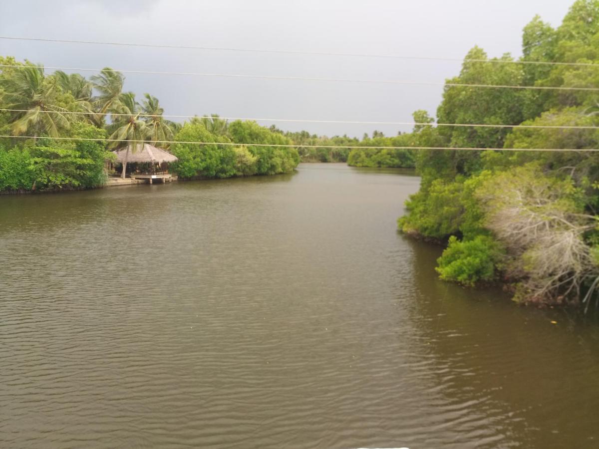 Silent Peacock Villa And Peacock Cafe Tangalle Eksteriør billede